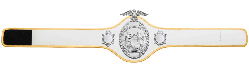 BOXING CHAMPIONSHIP BELT-PRO288/S/BOXS-10 COLOURS BOXING CHAMPIONSHIP BELT-PRO288/S/BOXS-10 COLOURS